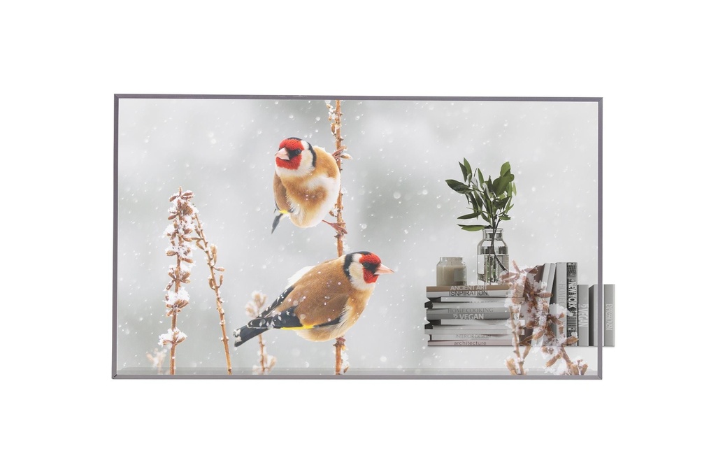 LG Ecran Public 55EW5P-M 55