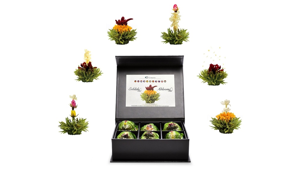Creano Fleurs de thé goût fruité du thé vert Boîte à aimants pour 6