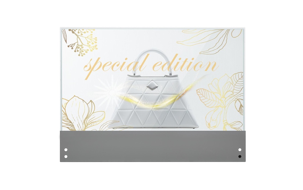 LG Ecran Public 30EW5TP-A 30