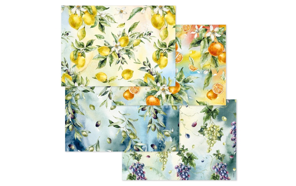 Trendform Set de table Mediterania 29.7 cm x 42 cm,  4 sujets à 12 feuilles