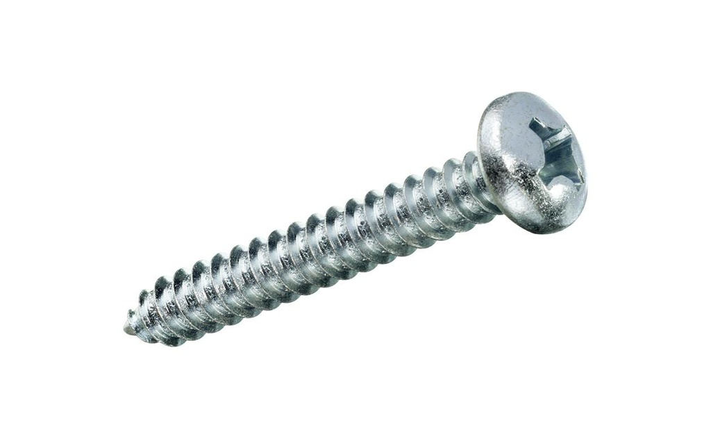 FTM Vis à tôle Tête de lentille 4.8 x 19 mm Acier, 10 pièces
