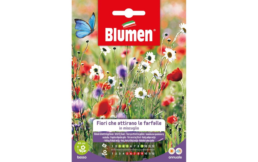 Blumen Semence Plantes à papillons en fleurs