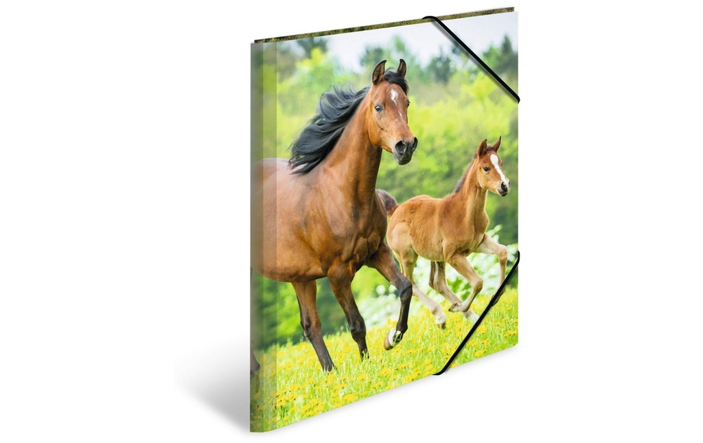 HERMA Portfolio à ruban élastique A3 Chevaux, polypropylène, avec impression intérieure