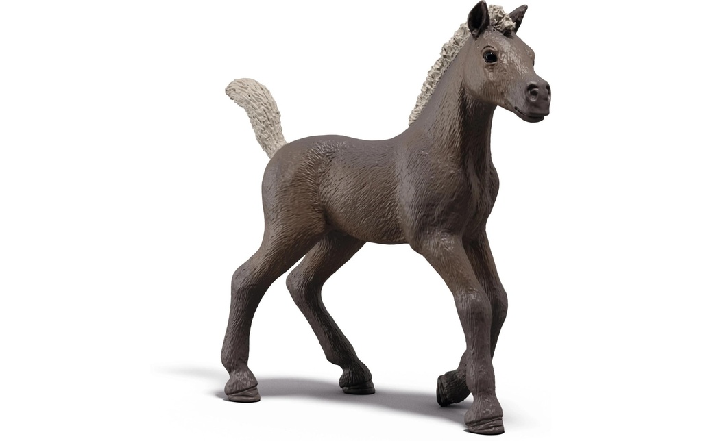 Schleich Poulain de collection Darcy