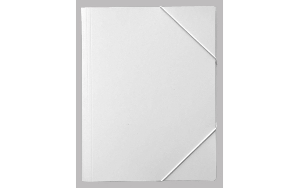 EROLA Chem. class. pressp. A4 blanc