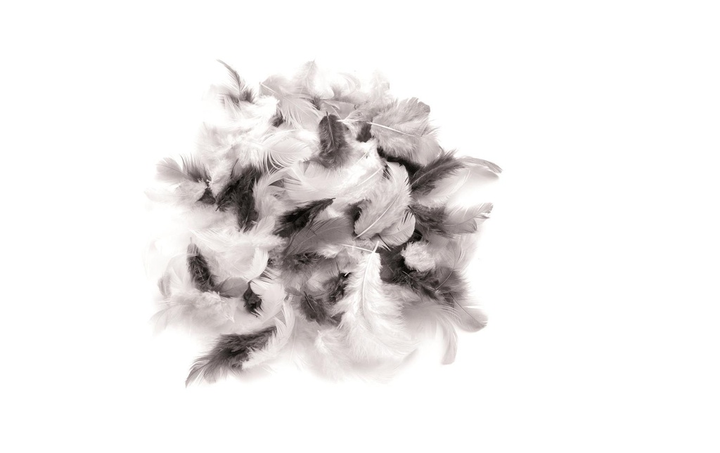 Glorex Plumes Deco Noir/Blanc