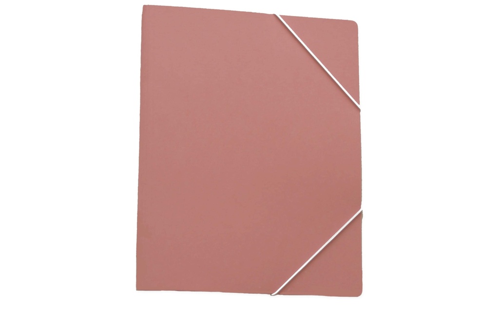EROLA Chem class carton A4 rose