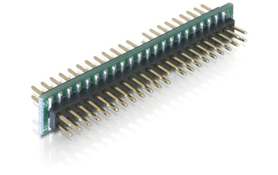 Delock Adaptateur IDE 44 Pin homme