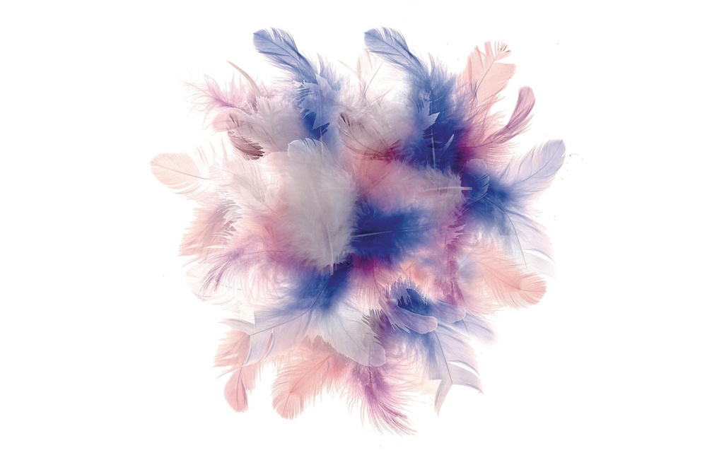 Glorex Plumes Deco Bleu/Rose/Blanc