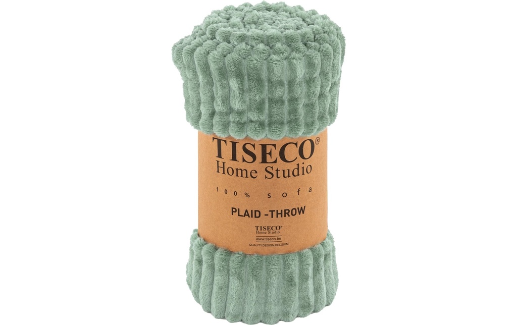 Tiseco Couverture Ribble microflanelle 160 x 130 cm, Vert