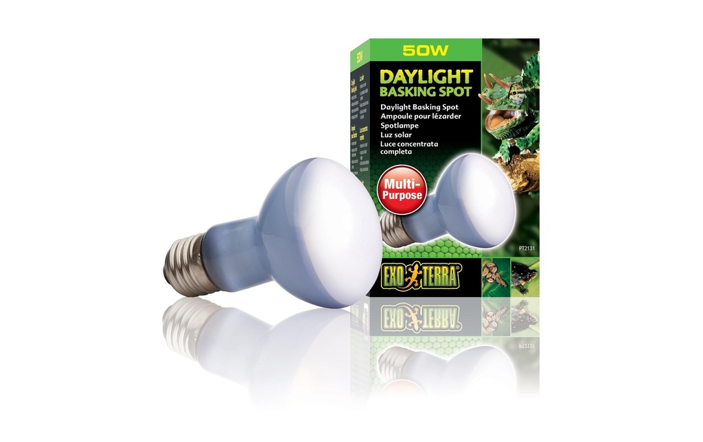 Exo Terra Lampe pour terrarium Daylight Basking Spot E27, R20/50W