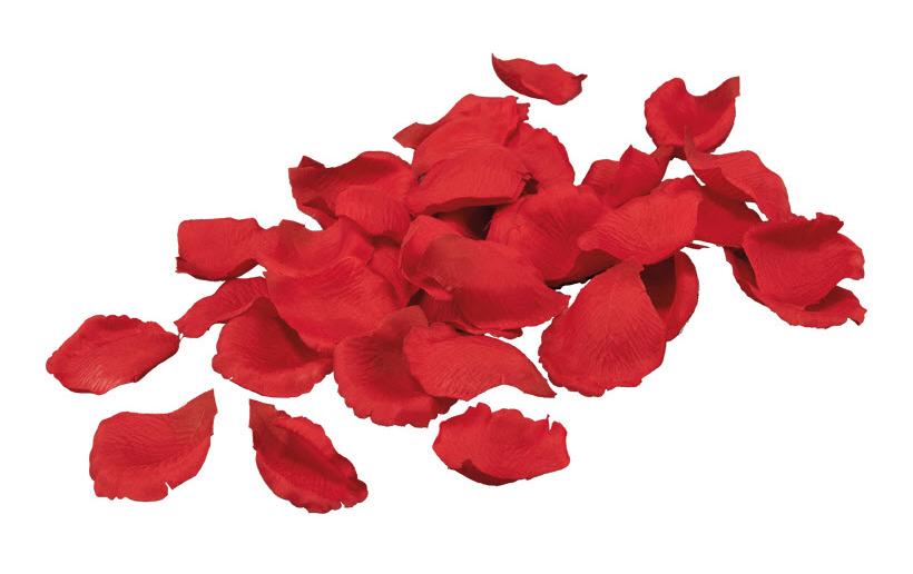 Dekomat AG Fleur artificielle Pétales de rose 60 pièces, rouge