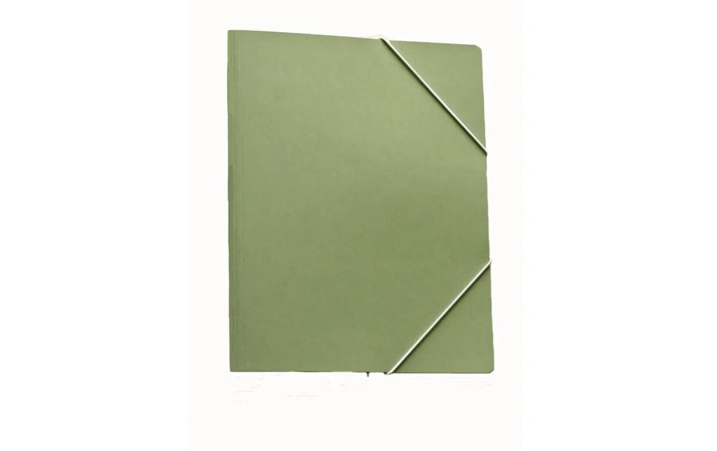 EROLA Chem class carton A4 vert
