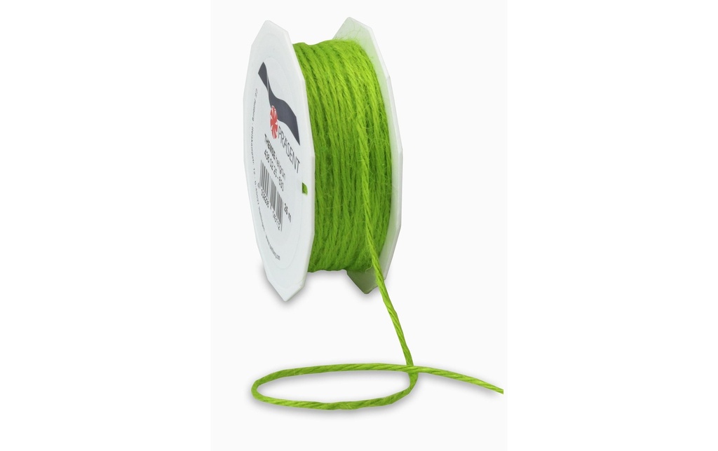 Pattberg Ruban de jute 2 mm x 25 m, Vert clair