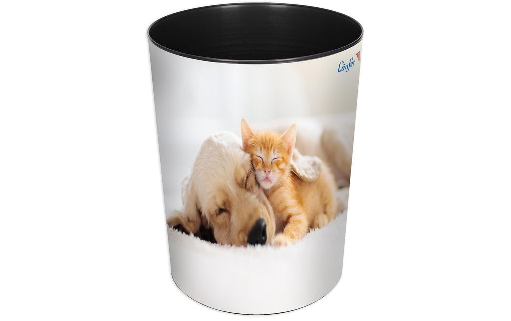 [337266670] LÄUFER Corb.papier chiens et chats