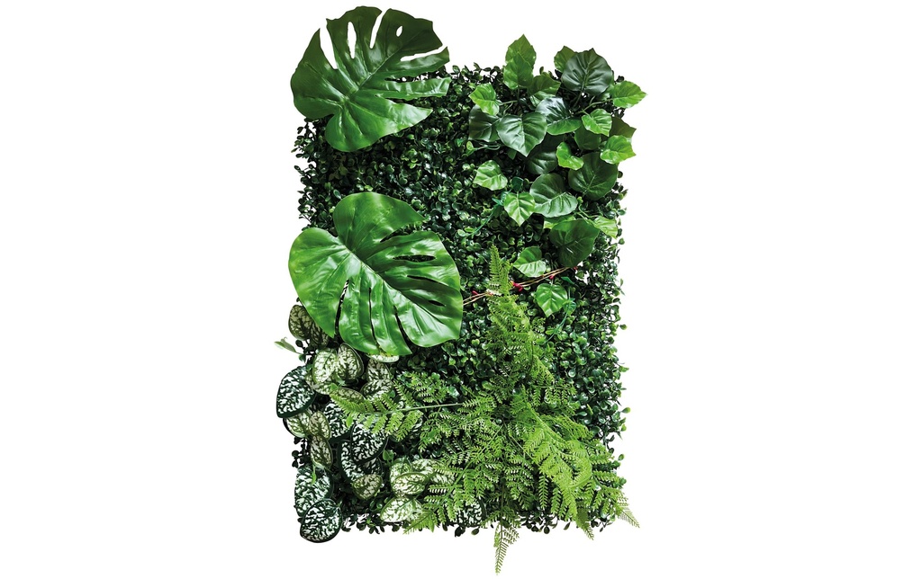 Repto Fond végétal Déco 2, 40 x 60 cm