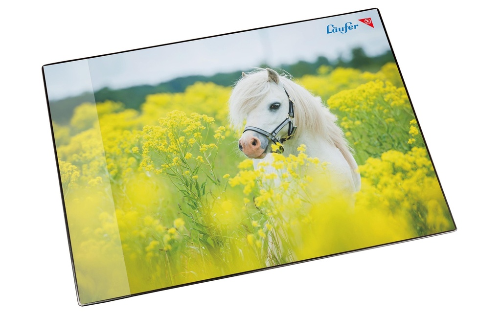 LÄUFER Sous-main Motif cheval champ