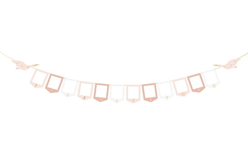 Partydeco Guirlande Cigogne Rose, 10.5 x 15 cm, 3 m