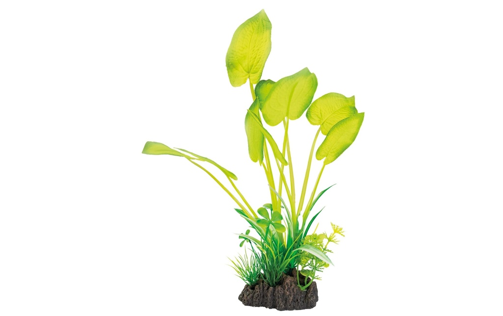 SuperFish Plante artificielle Echinodorus, 25 cm