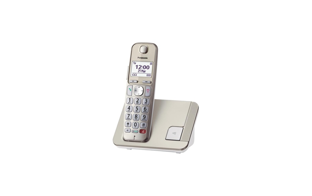 Panasonic Téléphone sans fil KX-TGE250SLN Champagne
