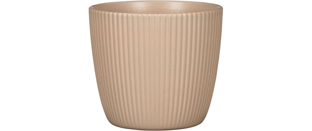 scheurich Pot de fleur Aura Dry Reed, 19 cm