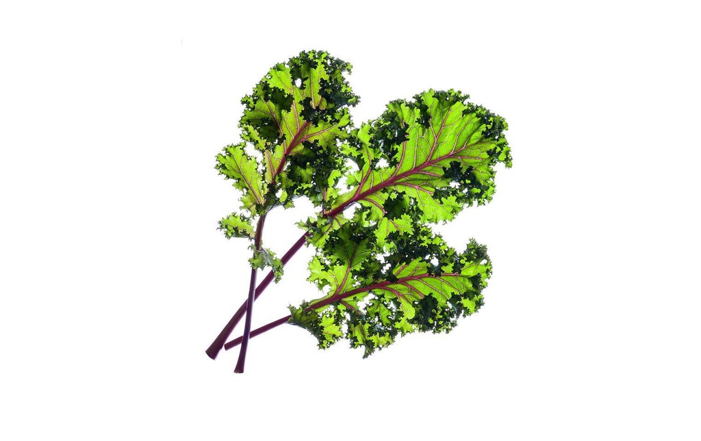Click and Grow Semence Recharge chou rouge par lot de 3