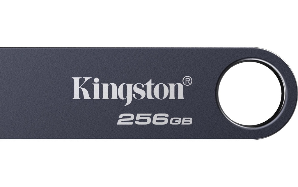 Kingston Clé USB KE-U2X256-1AC 256 GB
