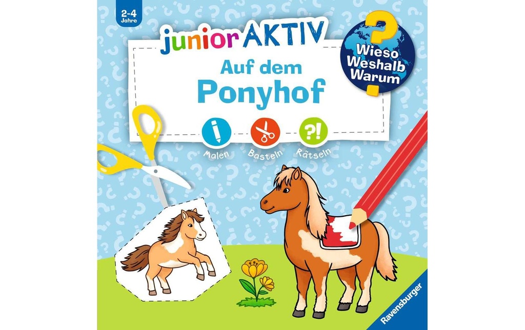 Ravensburger Livres pratiques pour enfants Pourquoi? Pourquoi? Pourquoi?