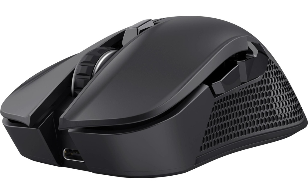 Trust Souris de gaming GXT 931 Ybar