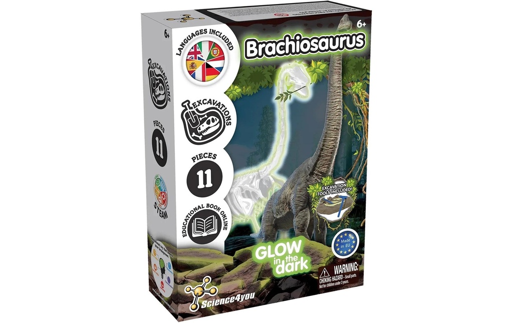 Science4you Kit de fouilles Brachiosaurus