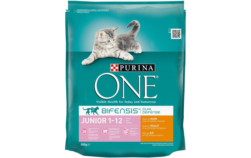 Purina ONE Alimentation sèche Junior Poulet et farine complète, 800g