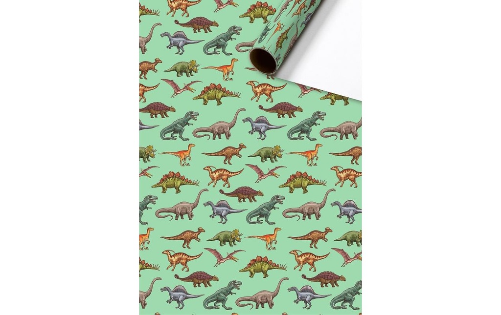 STEWO Pap.cadeau SAURUS 2mx70cm (2 pces)