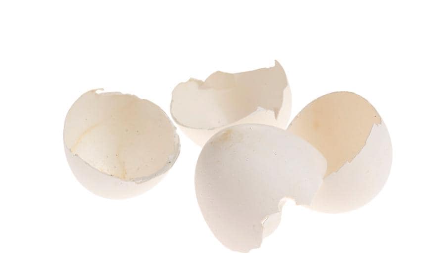 Opiflor Bol à œufs de Pâques 200, blanc naturel