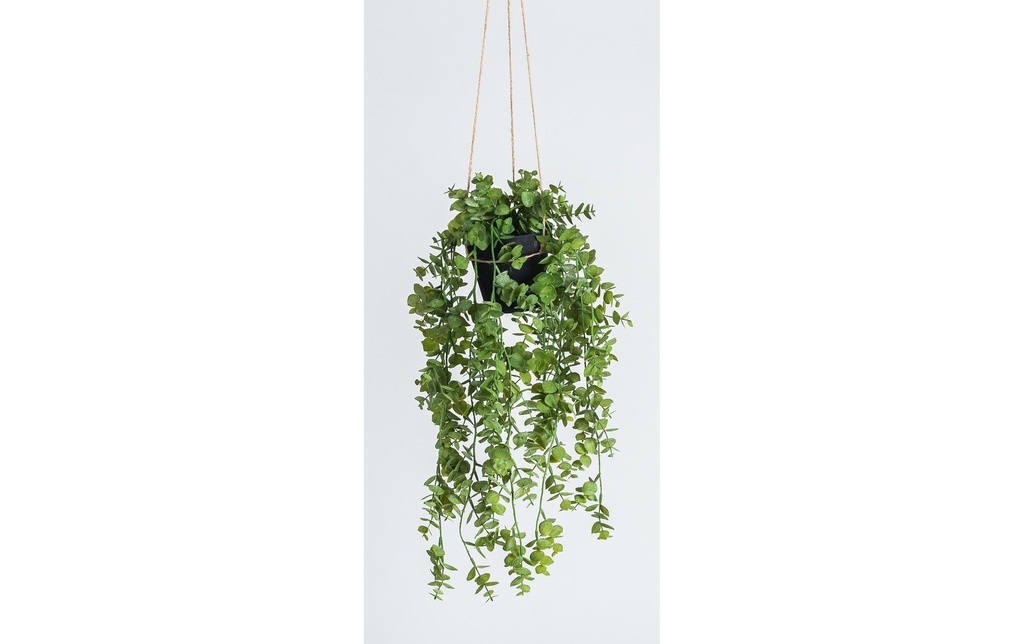 Botanic-Haus Plante artificielle Eucalyptus suspendu 58 cm