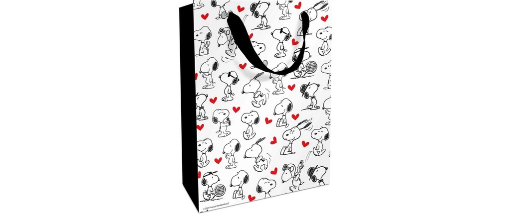 Braun + Company Sac cadeau Snoopy Infinity 24 x 36 x 13 cm