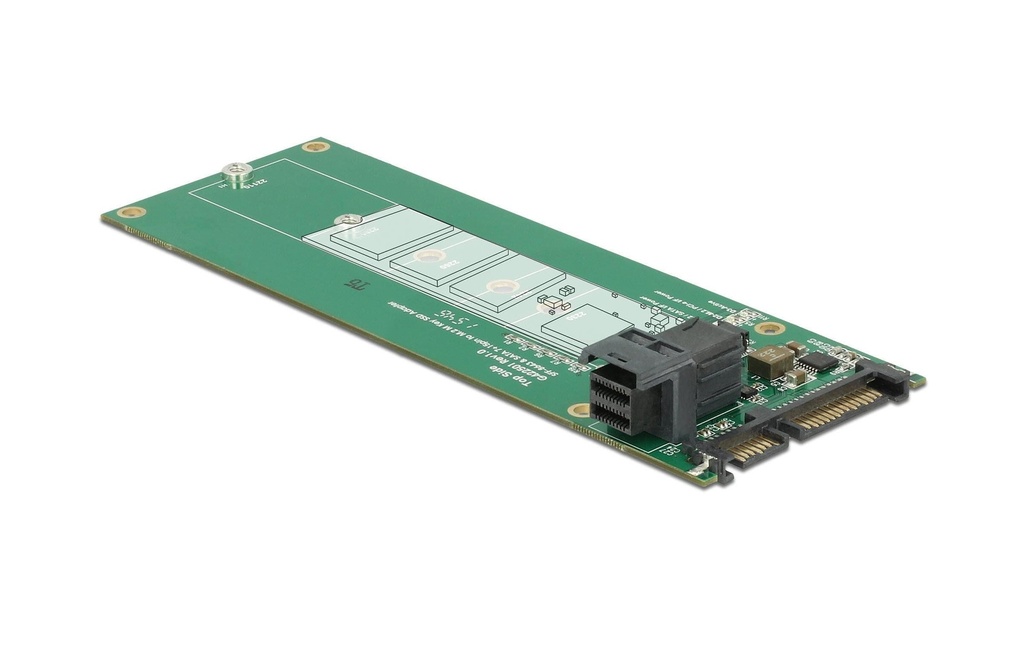 Delock Adaptateur de bus hôte SATA M.2 SSD – M.2 NVMe SSD