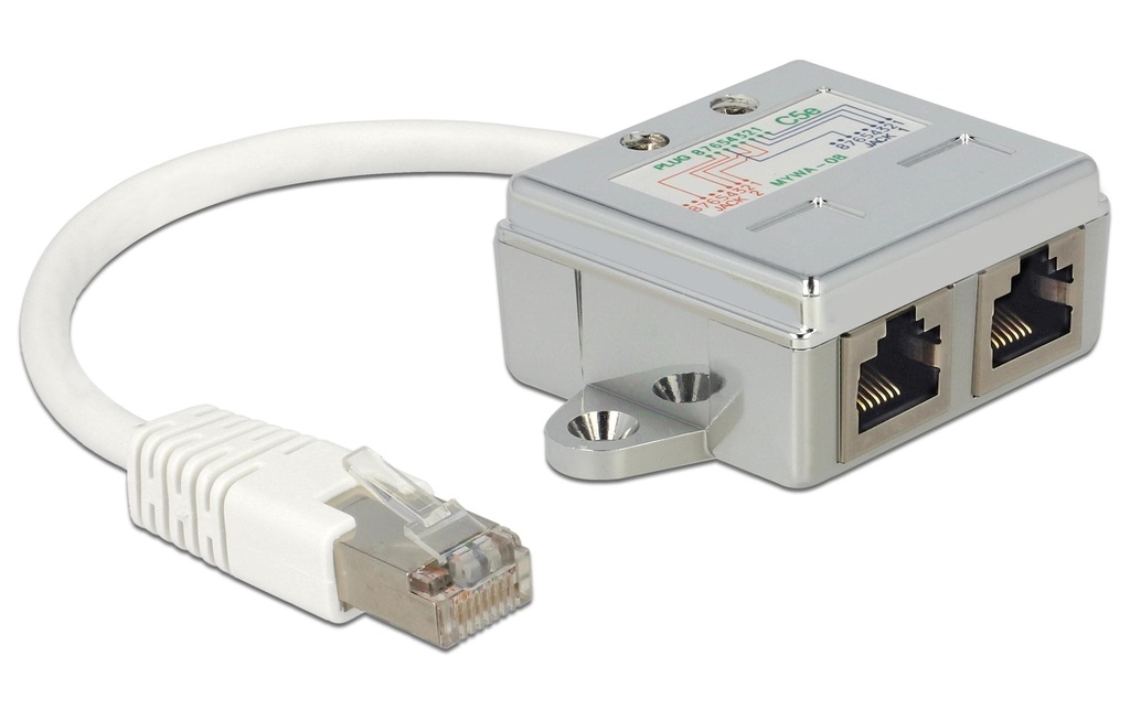 Delock Adaptateur double port 2x 100Mbps LAN 1 Pièce/s