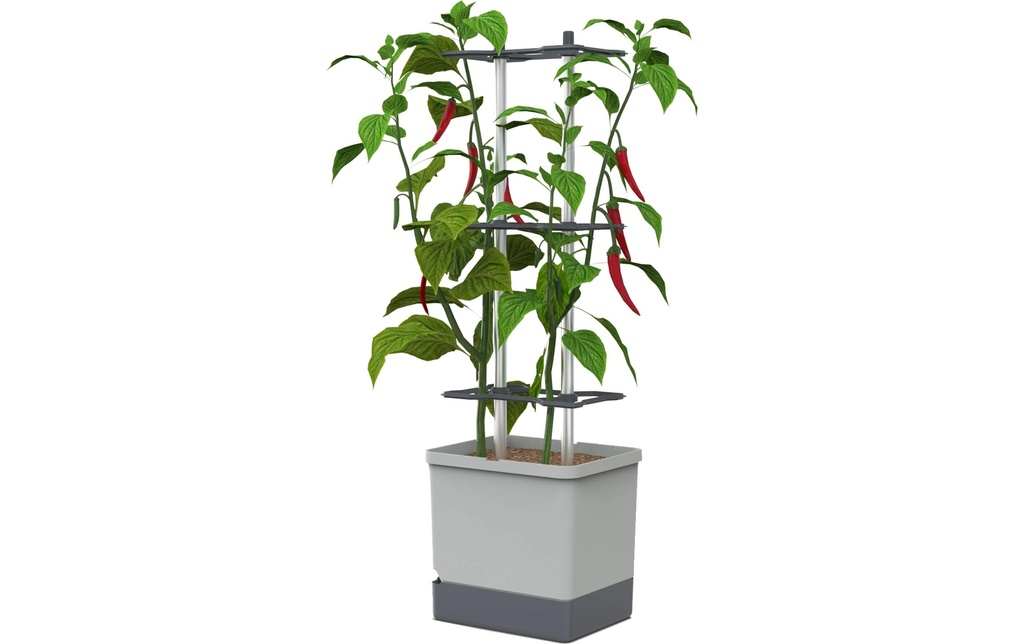 Gusta Garden Godets de culture Charly Chili XL Gris clair
