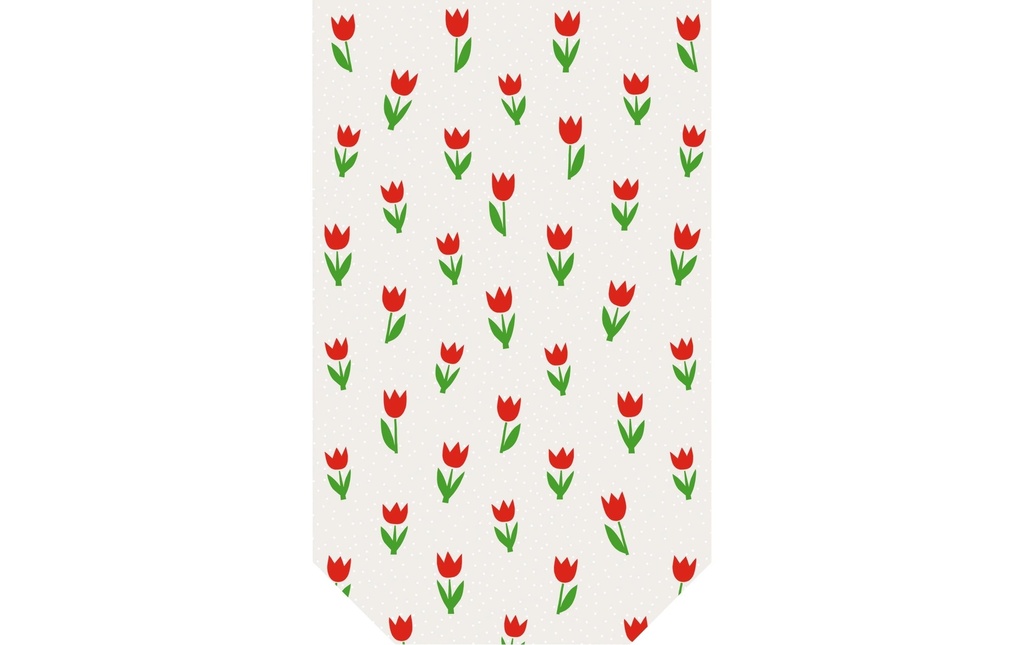 BRAUN + COMPANY Sachet transp.Minitulips rouge (10 pces)
