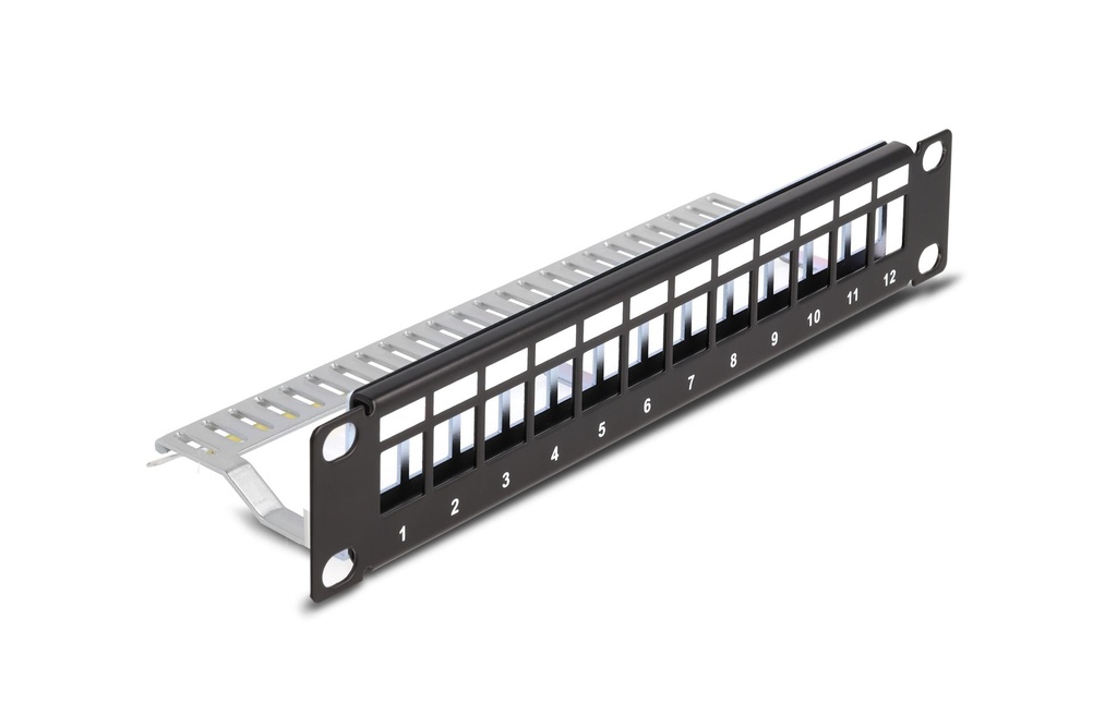 Delock Panneau de brassage Keystone 12 ports 1 U Rack 10