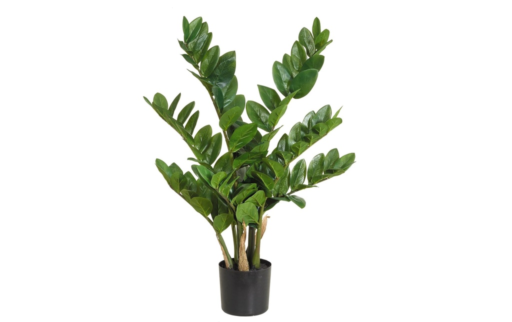 Botanic-Haus Plante artificielle Zamiculcas 70 cm