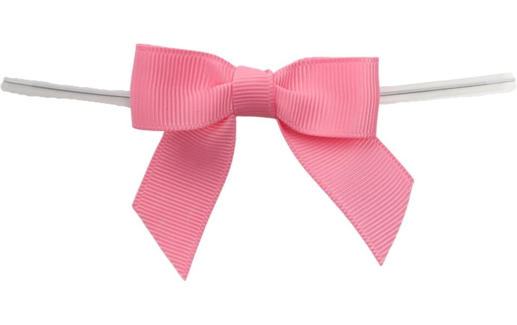 BackshopSchweiz Fermeture avec boucle Rose, 10 pièces