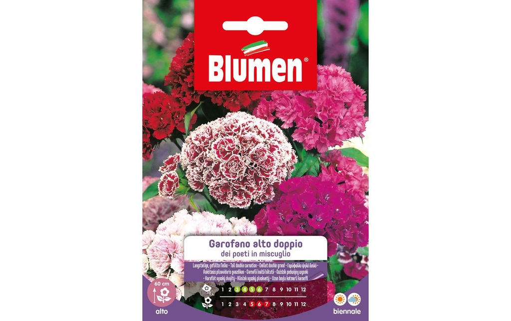 Blumen Semence Œillet double à longue tige Mix