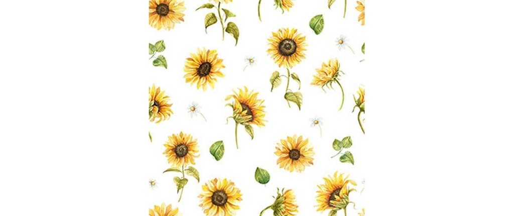 Braun + Company Serviettes en papier Tournesol blanc de blanc 20 pièces