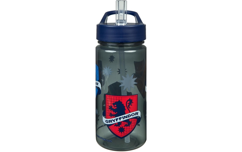 Scooli Gourde Harry Potter 500 ml, Noir/Gris