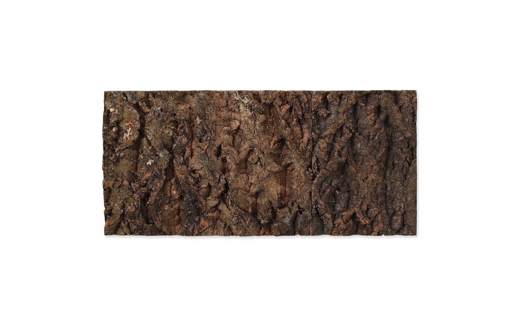 Repti Planet Paroi arrière en liège 48.8 x 22.7 x 2 cm