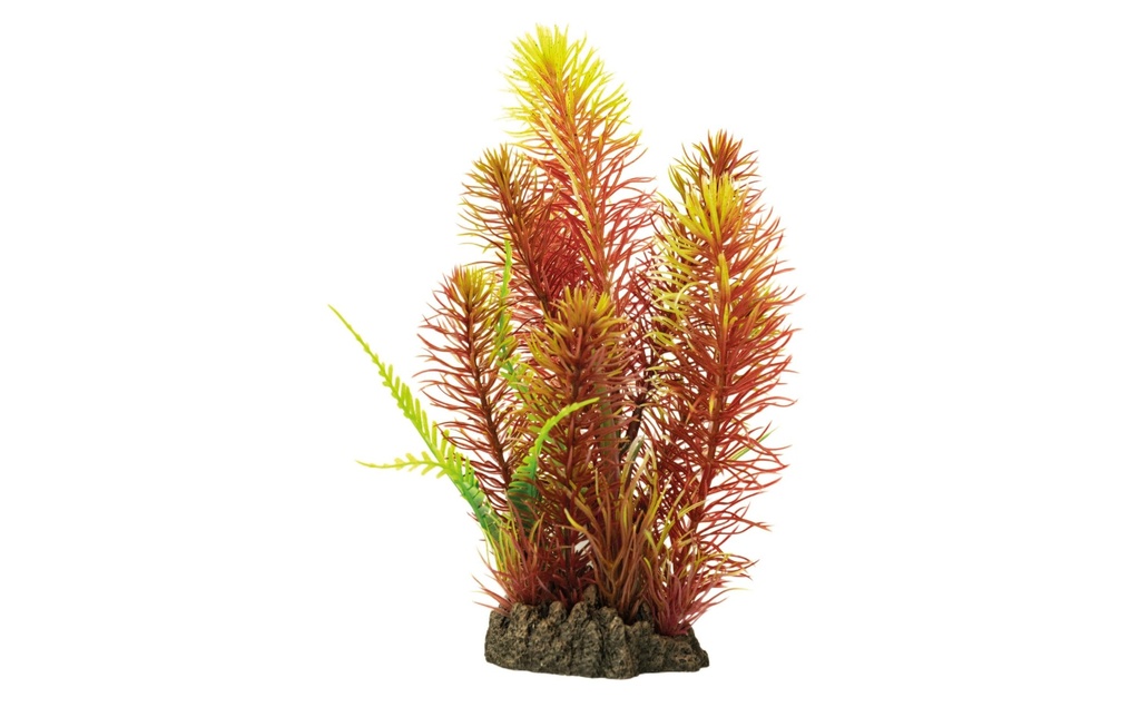 SuperFish Plante artificielle Myriophyllum Red, 25 cm