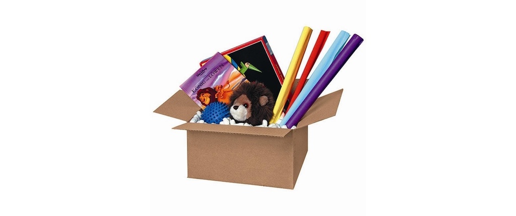Brieger Carton d’expédition 30.5 x 21.5 x 14 cm, 1 pièce