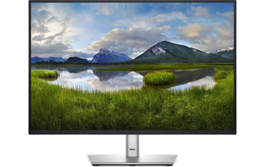Dell Moniteur P2425E 24.07 , 1920 x 1200 (WUXGA)