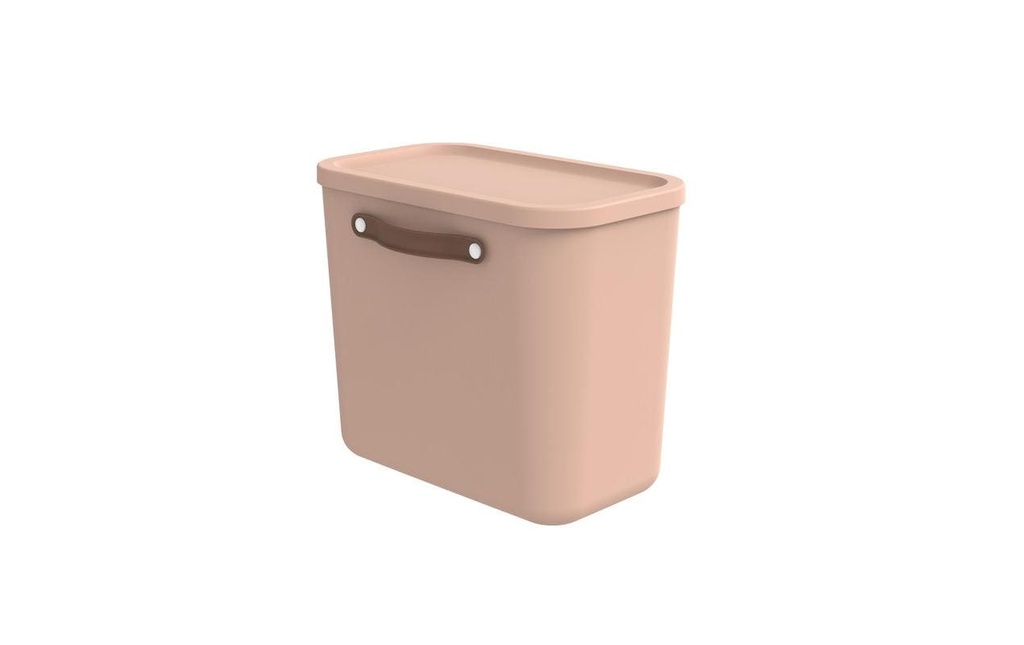 Rotho Boîte de rangement Maloja 25 l, Meadow Rose